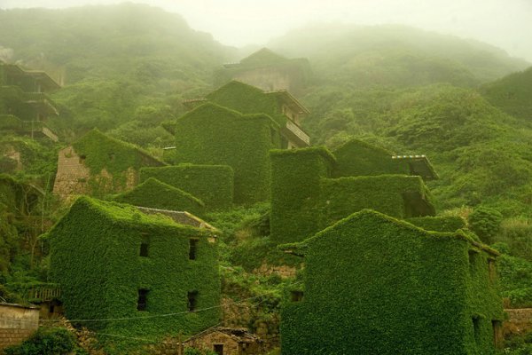 Зеленый «город-призрак» китайское поселение опутали растения
